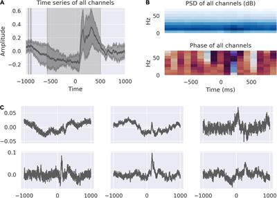 Spatial and Temporal Distribution of Information Processing in the Human Dorsal Anterior Cingulate Cortex